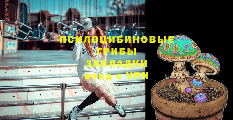 omg вход  Бирюсинск  Псилоцибиновые грибы Magic Shrooms 